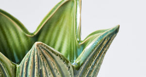 Botanic